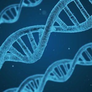 Epigenetics, An International Guide | Epigenetics Literally Means “ On Top Of The Gene”. - Metabolics