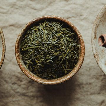 Product of the Month: Green Tea Extract - Metabolics